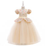 Princess Fluffy Party Dress