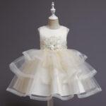 Champagne Baby Party Dress