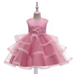 Pink Tutu Girl Dresses