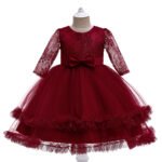 Fancy Party Dress